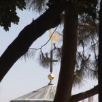 Especial Semana Santa: Conheça a Igreja de São Pedro em Gallicantu