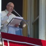 Papa sobre o Sínodo: “Foi uma boa colheita e promete bom vinho”