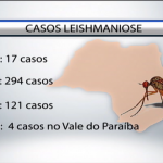 Casos de Leishmaniose em São Paulo ascendem um alerta