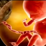 Frei, especialista em reprodução humana, tira dúvidas sobre o aborto