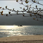 Conheça um pouco mais de Paraty no quadro 