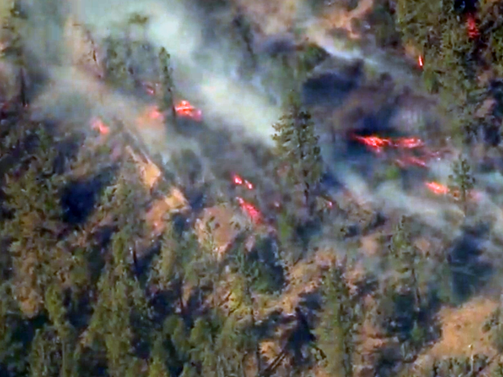 Incêndio na Califórnia é o mais destrutivo da história do estado