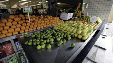Universidade cria técnica que identifica uso de agrotóxicos em frutas