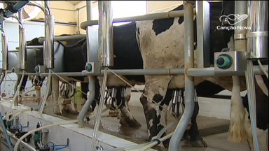 Produtores rurais e indústrias são submetidos à novas leis para produção de leite
