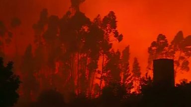 Mais de 800 bombeiros tentam acabar com incêndio em Portugal