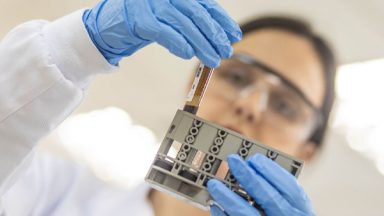 USP inaugura laboratório que identifica doenças emergentes