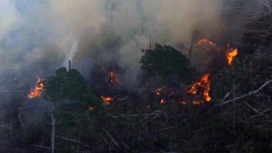 Incêndios na Amazônia são absurdos, afirma CNBB