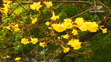 Previsão do tempo aponta menos chuvas para a primavera deste ano
