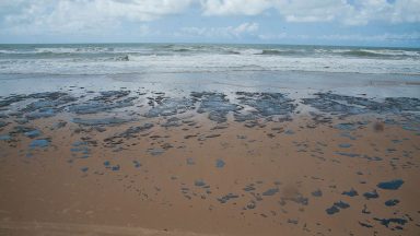 Quatro mil toneladas de óleo já foram retiradas de praias nordestinas