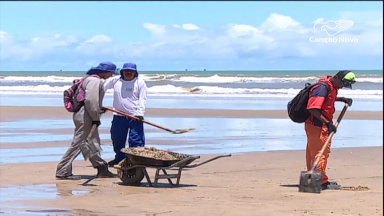 População do Nordeste se mobiliza para ajudar a retirar óleo das praias
