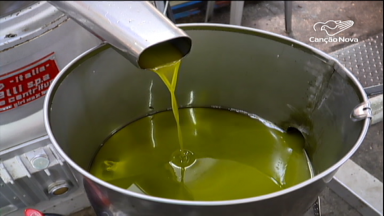 Azeite de Beit Jala é o mais caro produzido na Terra Santa