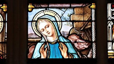 Francisco: olhar para Nossa Senhora com mais fé e esperança