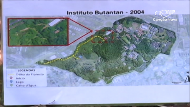 Em SP, Butantan oferece passeio em área preservada da Mata Atlântica