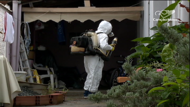 Dengue: dados apontam novos casos da doença em todo o país