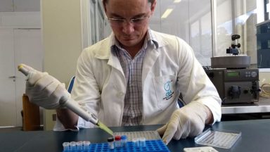 Laboratório brasileiro desenvolve teste nacional para covid-19