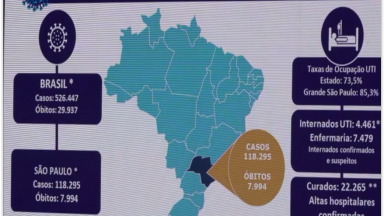 São Paulo registra o maior número de casos e óbitos de covid-19