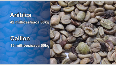 Produção mundial de café diminui esse ano, mas a oferta aumenta
