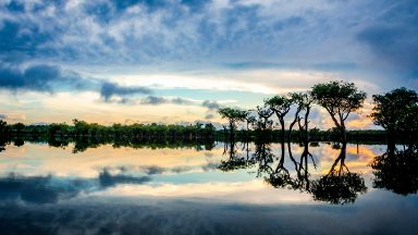 Campanha de cuidado com a Amazônia será lançada na próxima segunda