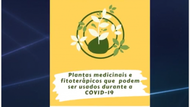 Universidade Federal produz cartilha informativa sobre plantas medicinais