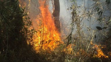 Bombeiros combatem há dois dias incêndio na Serra dos Órgãos