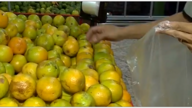 Aumenta o consumo de frutas com vitamina C durante a pandemia