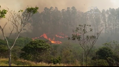 Incêndio atinge vegetação de unidade do INPE em Cachoeira Paulista