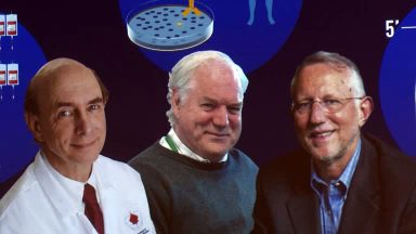 Três cientistas que identificaram o vírus de Hepatite C vencem Nobel