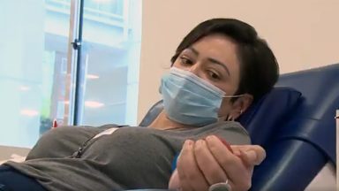 Dia Nacional do Doador de Sangue: um ato que salva vidas