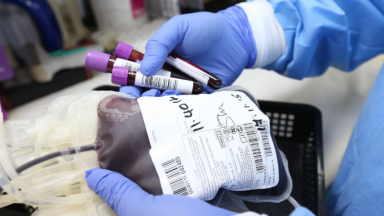 Igreja lança campanha para doação de sangue em Pernambuco