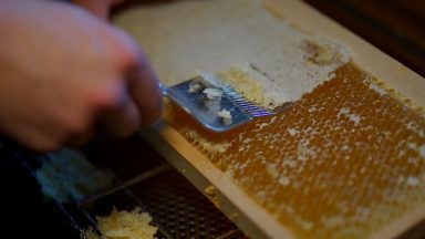 Consumo de mel aumenta no país durante a pandemia