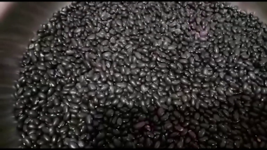 Governo estima que a safra de arroz e feijão será menor em 2021