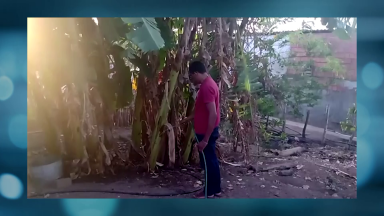 Brasileiros buscam vida mais tranquila no interior, longe das aglomerações