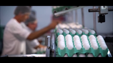 Dólar alto deixa o preço dos ovos mais caros no Brasil