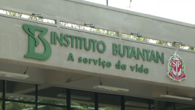 Governo Federal negocia com outros laboratórios a compra de vacinas