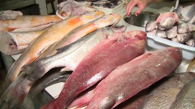 Com preços altos da carne vermelha, aumenta a procura por peixe