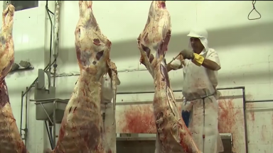 Consumo de carne bovina diminui e preço aumenta