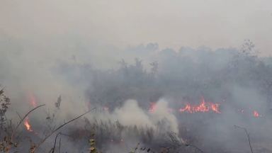 Governo de Mato Grosso do Sul declara estado de Emergência Ambiental