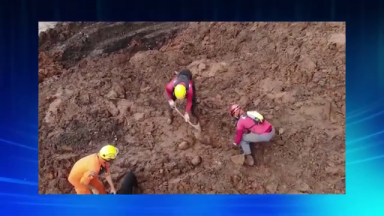 Bombeiros de Minas Gerais retornam com as buscas em Brumadinho
