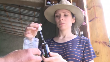 Agricultores usam homeopatia na produção mais orgânica e agroecológica