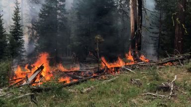 Imagens de satélite mostram incêndios florestais nos Estados Unidos