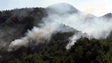 Líbano combate incêndios florestais no norte do país e famílias fogem