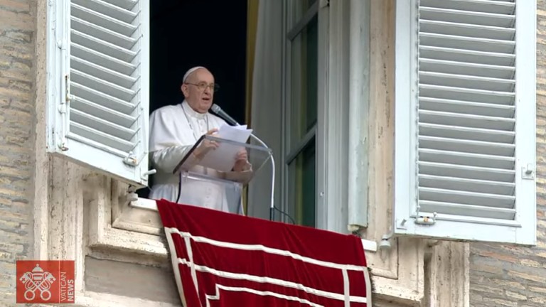angelus papa reproducao vnews No Angelus, Papa destaca poder do serviço e da gratuidade