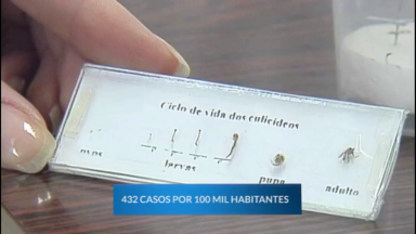 Notificações de casos de dengue caem mais de 50% no país