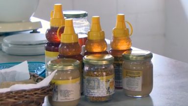 No interior de São Paulo, apicultores produzem mel sustentável