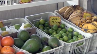 Cresce demanda do mercado externo por frutas brasileiras