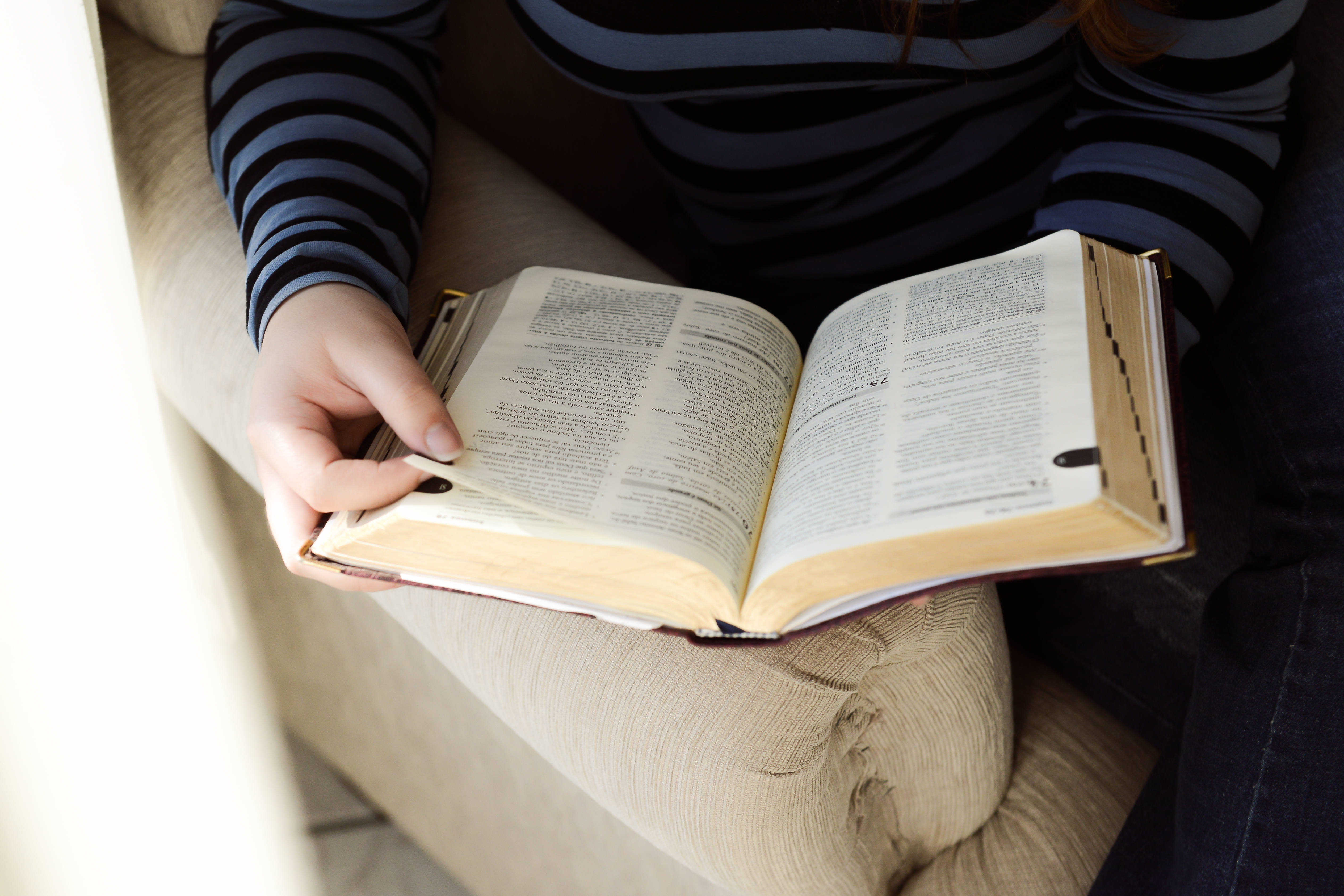 Leitura Programada da biblia - Teologia