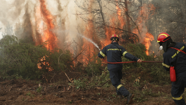 Grécia: mais de 2 mil pessoas deixam Evia devido aos incêndios