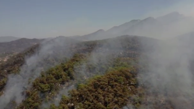 Incêndios florestais deixam mortos e desabrigados na Turquia