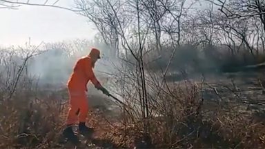 País registra aumento no número de incêndio em diversas regiões
