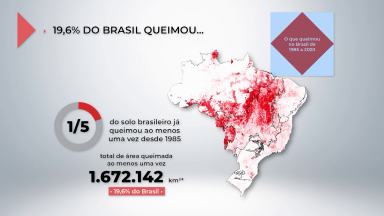 Estudo mostra os prejuízos dos incêndios e da crise hídrica no Brasil